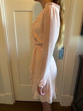 Aritzia Wilfred Louise Chiffon Dress in Blush Pink sz XS